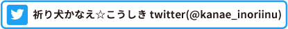 祈り犬かなえ☆こうしき